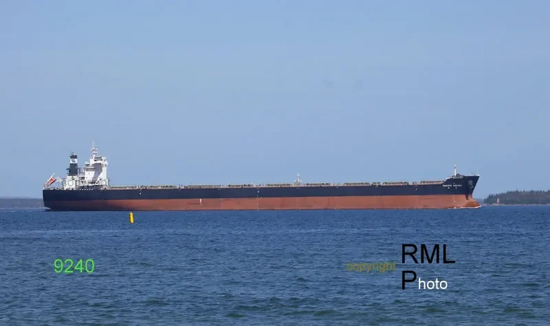 PACIFIC ARGOSY Bulk Carrier IMO 9469986 photo 4