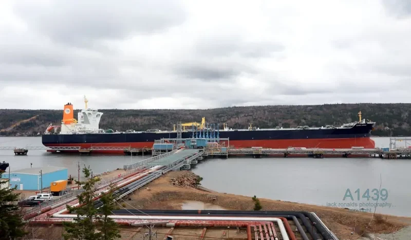 OLYMPIC LEOPARD Tanker IMO 9470040 photo 6