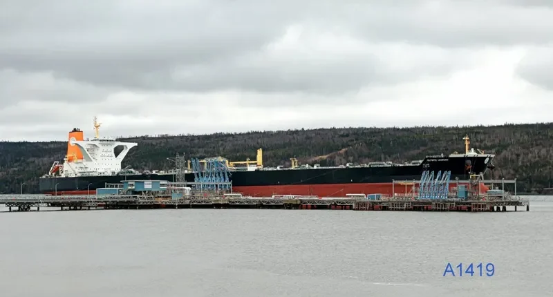 OLYMPIC LEOPARD Tanker IMO 9470040 photo 7