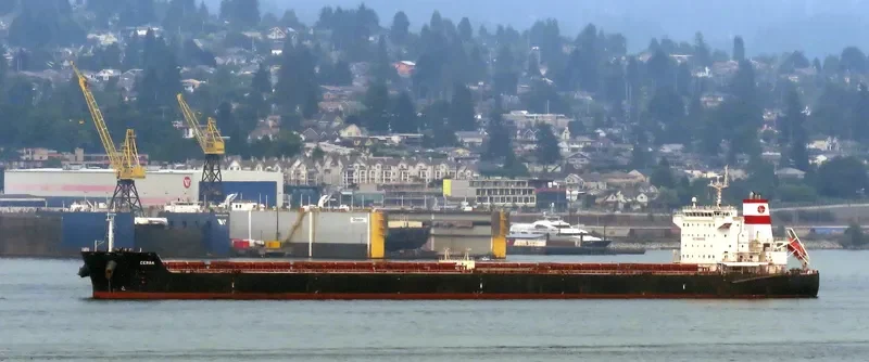 SUNRISE I Bulk Carrier IMO 9470064