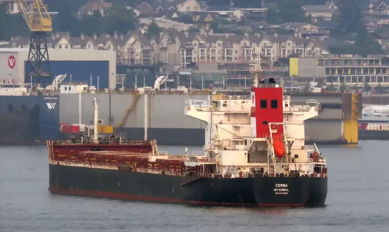 SUNRISE I Bulk Carrier IMO 9470064 photo 2