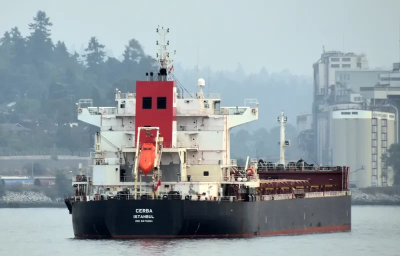 SUNRISE I Bulk Carrier IMO 9470064 photo 3