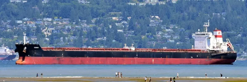 SUNRISE I Bulk Carrier IMO 9470064 photo 4