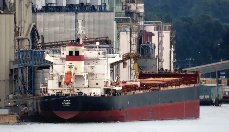 SUNRISE I Bulk Carrier IMO 9470064 photo 5