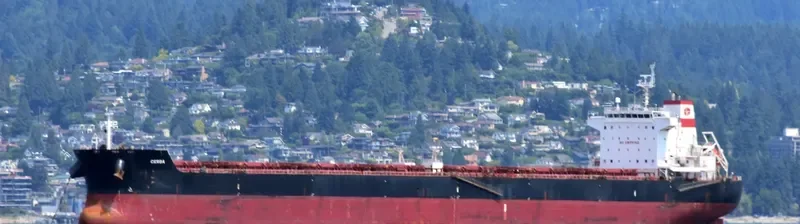 SUNRISE I Bulk Carrier IMO 9470064 photo 8