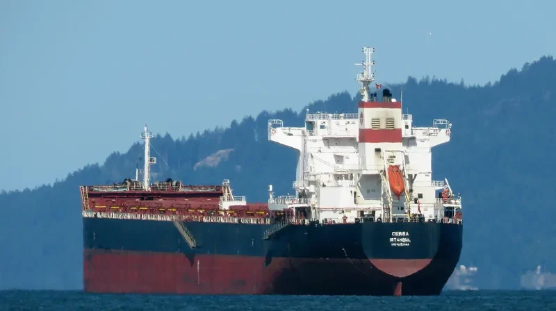 SUNRISE I Bulk Carrier IMO 9470064 photo 9