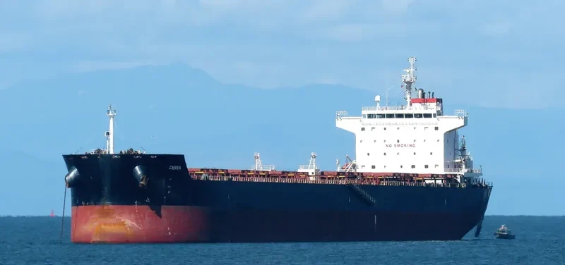 SUNRISE I Bulk Carrier IMO 9470064 photo 10