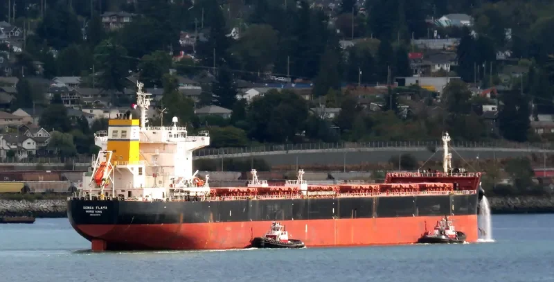 STAR FLAME Bulk Carrier IMO 9470076 photo 2