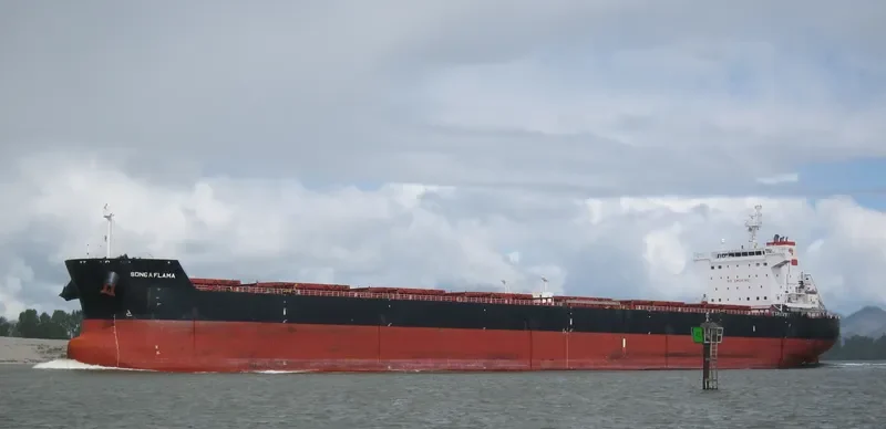 STAR FLAME Bulk Carrier IMO 9470076 photo 5