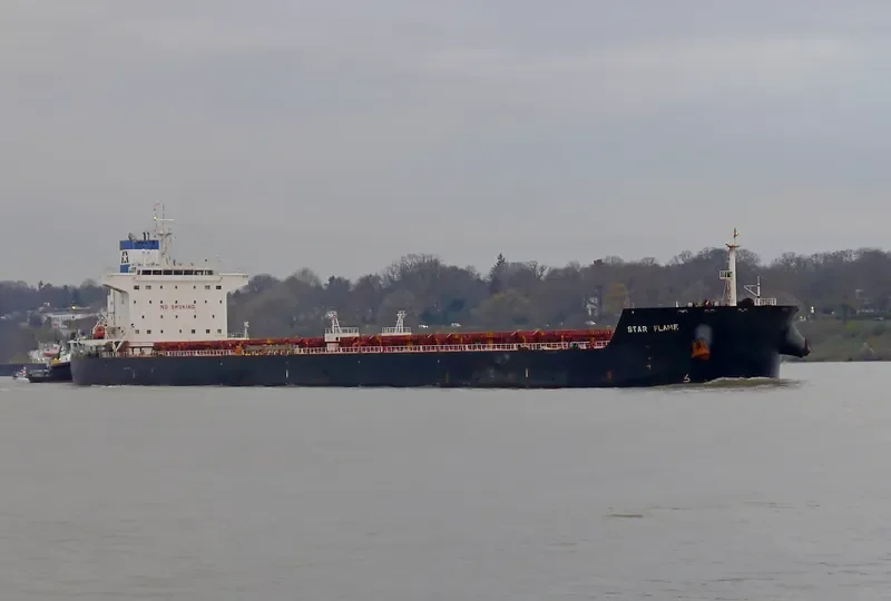 STAR FLAME Bulk Carrier IMO 9470076 photo 8
