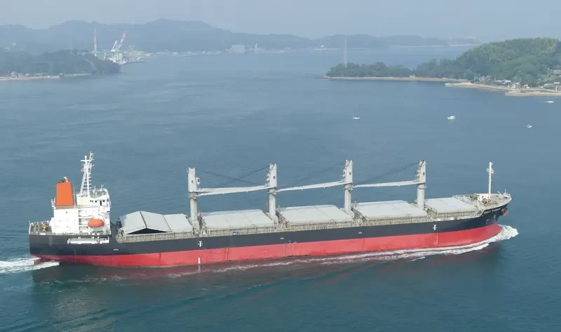 BASIC PIONEER Bulk Carrier IMO 9470296 photo 2
