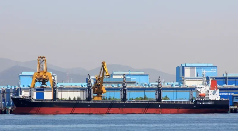 BASIC PIONEER Bulk Carrier IMO 9470296 photo 3