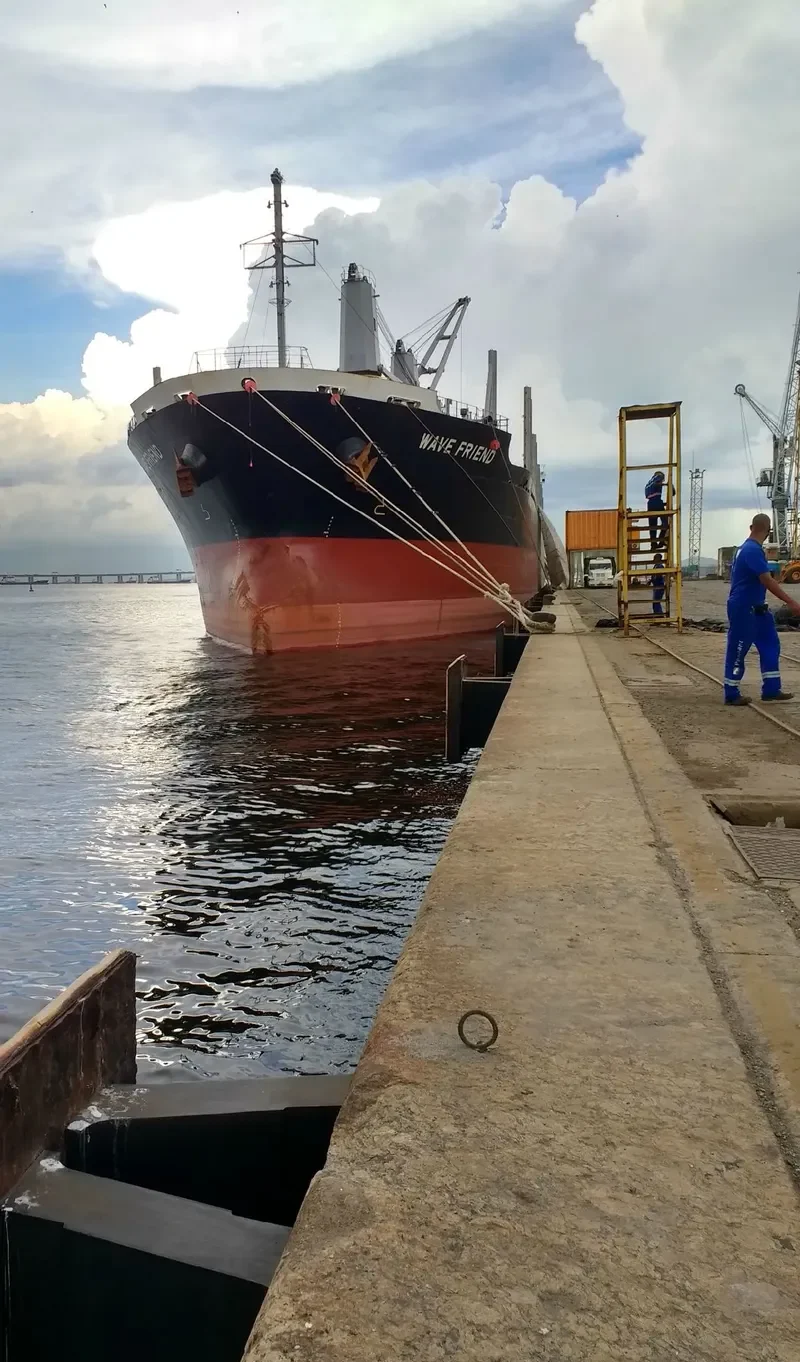 WAVE FRIEND Bulk Carrier IMO 9470313 photo 4