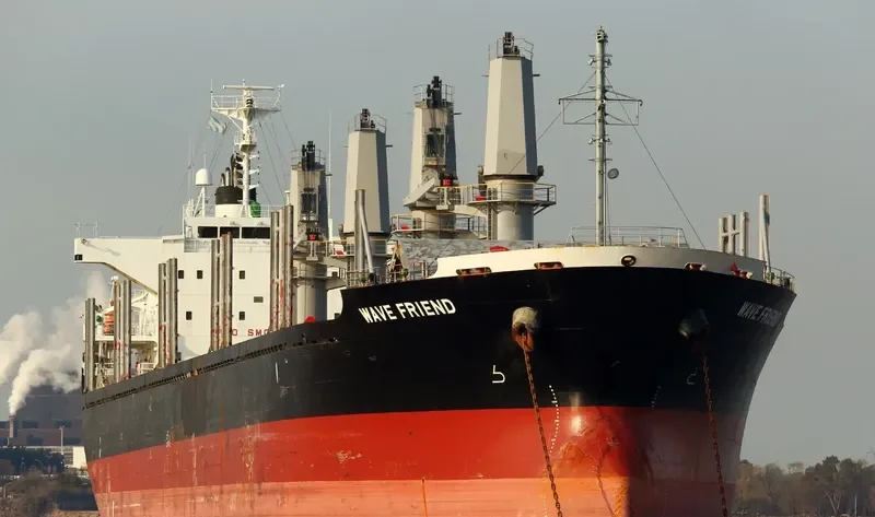 WAVE FRIEND Bulk Carrier IMO 9470313 photo 8