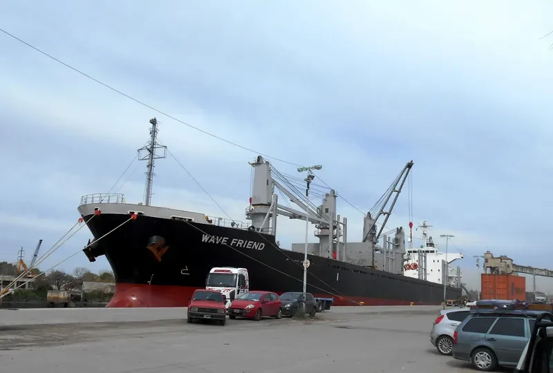 WAVE FRIEND Bulk Carrier IMO 9470313 photo 10