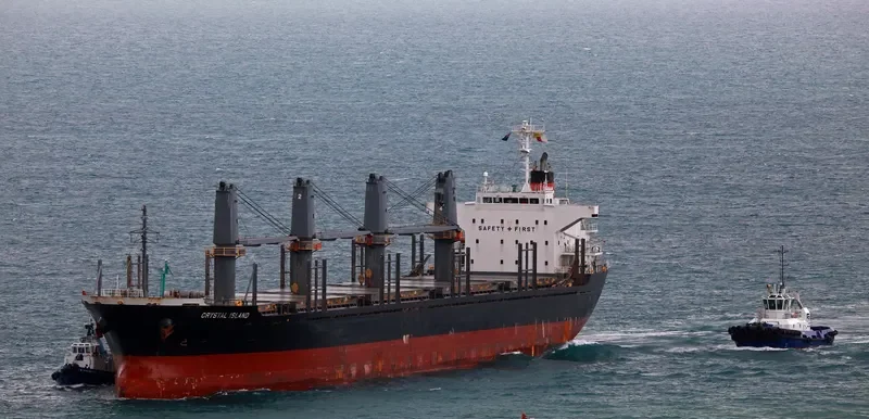 LADY MIRAF Bulk Carrier IMO 9470325 photo 4