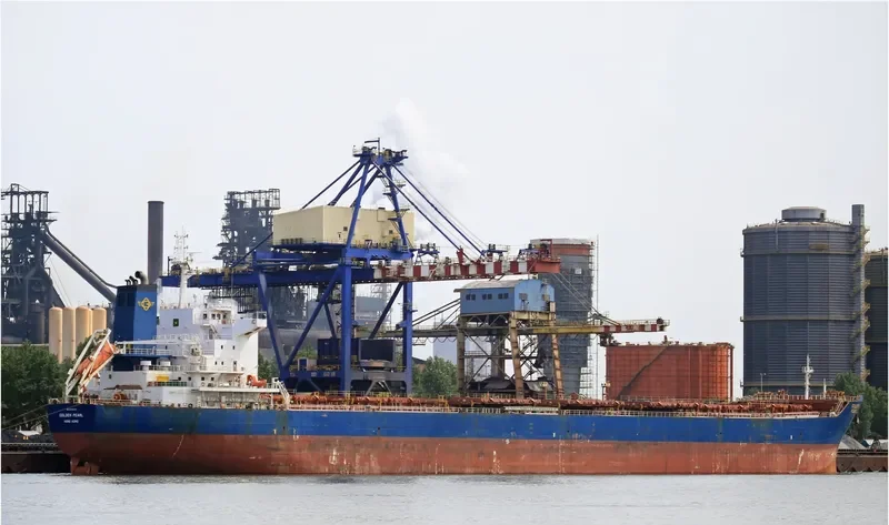 GOLDEN PEARL Bulk Carrier IMO 9470375 photo 7