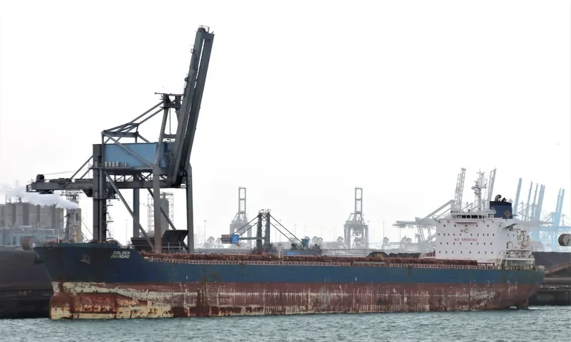 GOLDEN DIAMOND Bulk Carrier IMO 9470387 photo 2