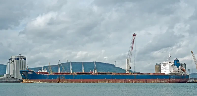 GOLDEN DIAMOND Bulk Carrier IMO 9470387 photo 7