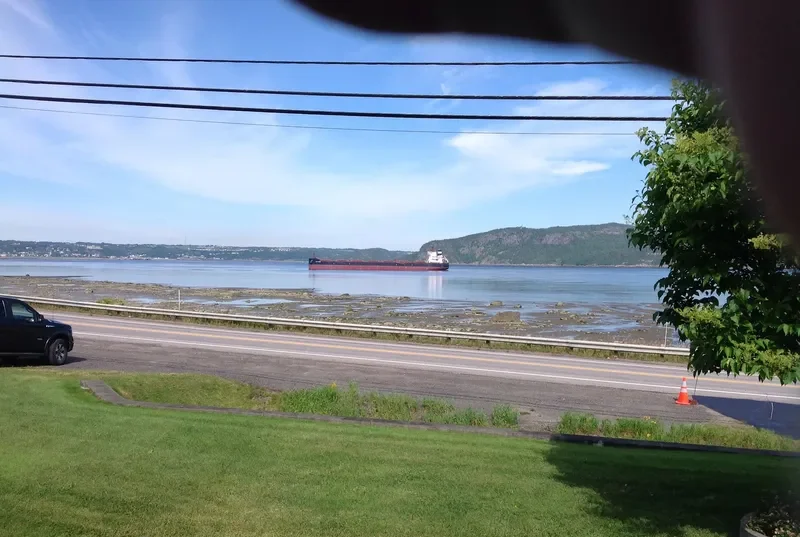 GOLDEN RUBY Bulk Carrier IMO 9470399 photo 3