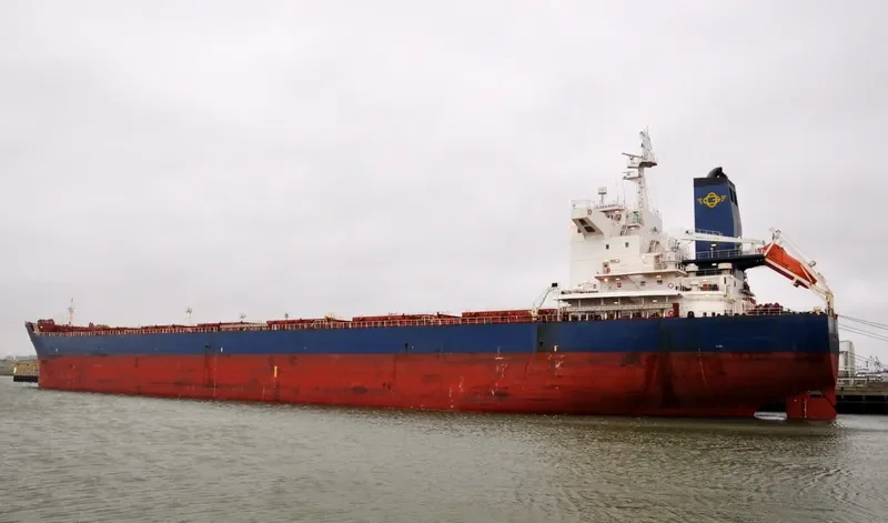 GOLDEN RUBY Bulk Carrier IMO 9470399 photo 10