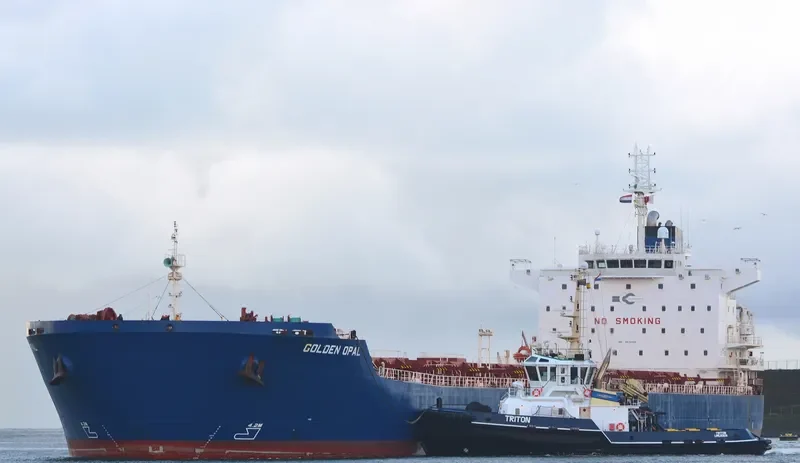 GOLDEN OPAL Bulk Carrier IMO 9470404 photo 2