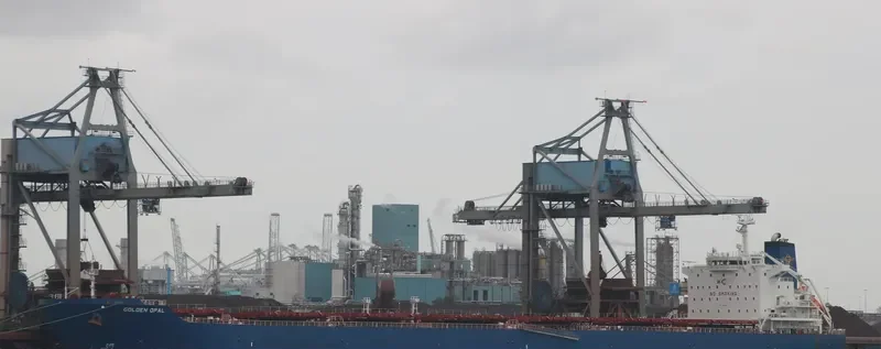GOLDEN OPAL Bulk Carrier IMO 9470404 photo 4
