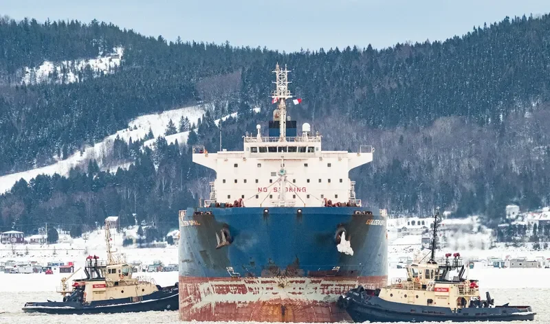 GOLDEN OPAL Bulk Carrier IMO 9470404 photo 7