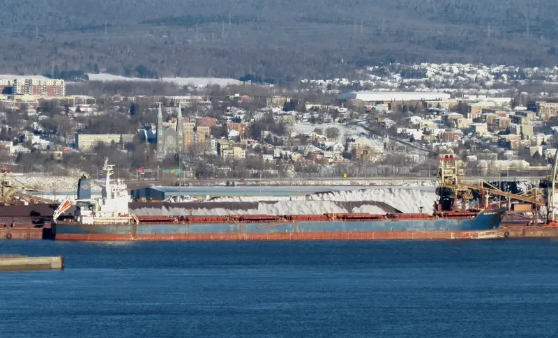 GOLDEN OPAL Bulk Carrier IMO 9470404 photo 8