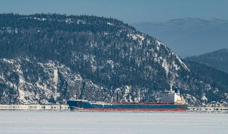GOLDEN OPAL Bulk Carrier IMO 9470404 photo 9
