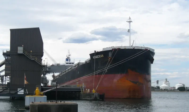VITAOCEAN Bulk Carrier IMO 9470492