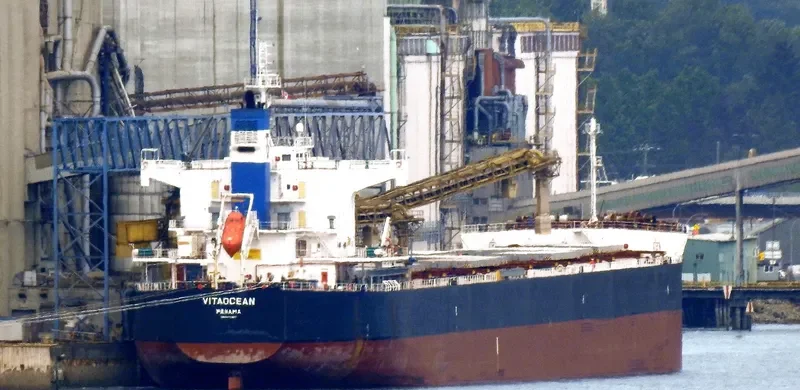 VITAOCEAN Bulk Carrier IMO 9470492 photo 9