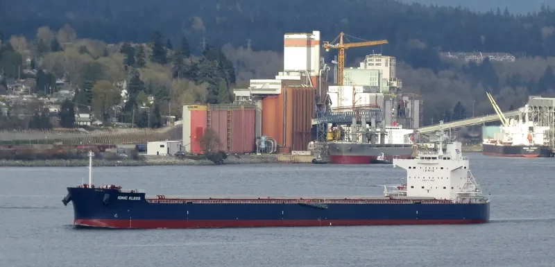 IONIC KLEOS Bulk Carrier IMO 9470507 photo 6
