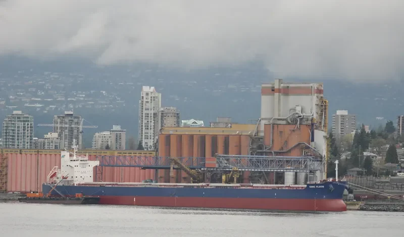 IONIC KLEOS Bulk Carrier IMO 9470507 photo 9