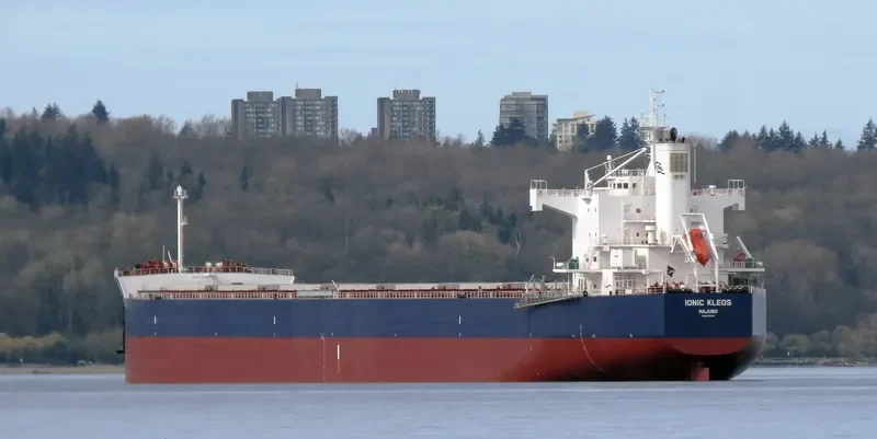 IONIC KLEOS Bulk Carrier IMO 9470507 photo 10