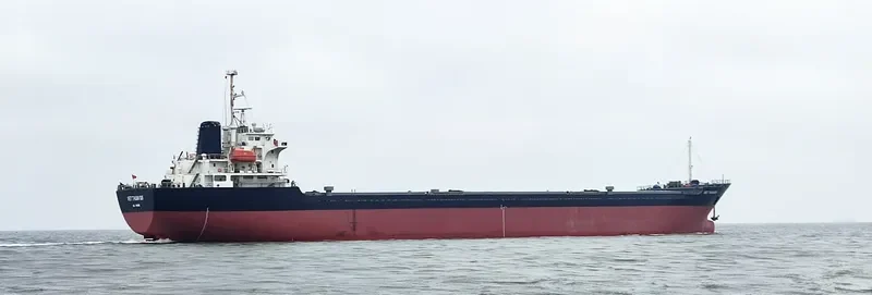 VIET THUAN 189 General Cargo IMO 9470583