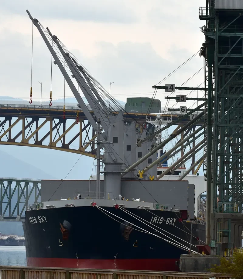 IRIS SKY Bulk Carrier IMO 9470777
