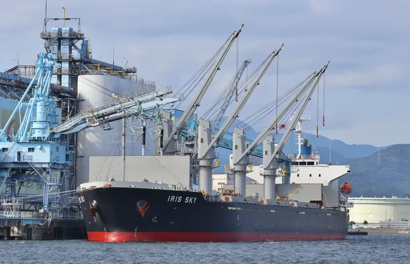 IRIS SKY Bulk Carrier IMO 9470777 photo 2