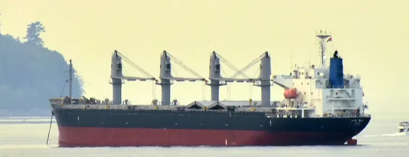 IRIS SKY Bulk Carrier IMO 9470777 photo 8