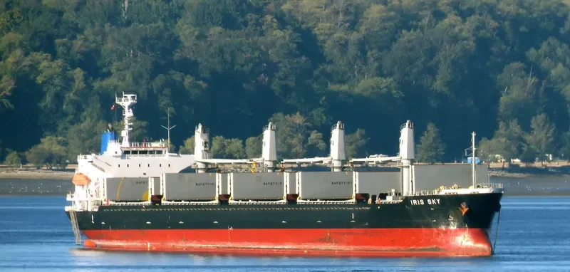 IRIS SKY Bulk Carrier IMO 9470777 photo 10
