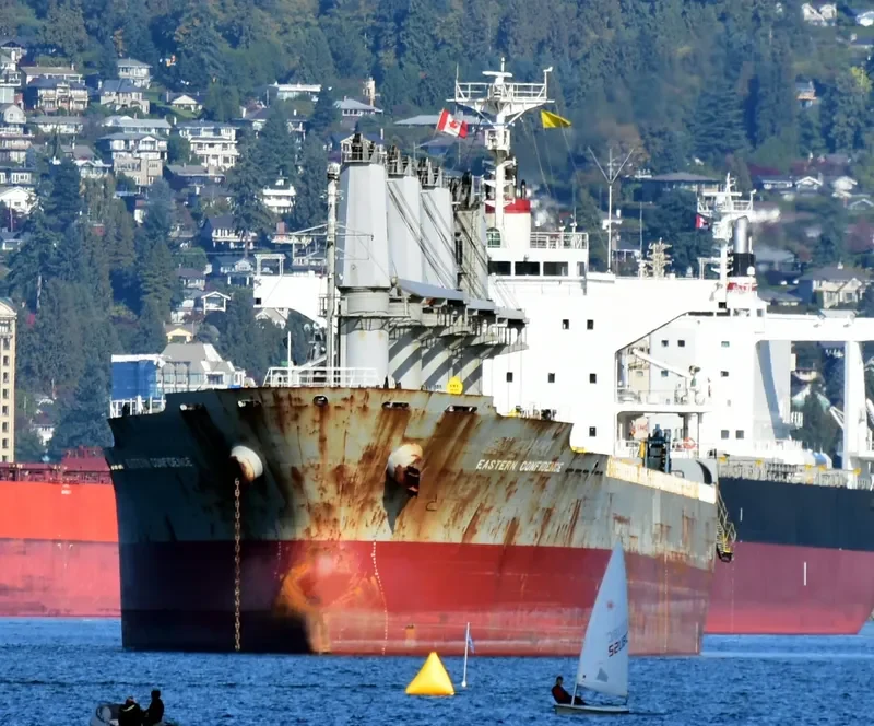 TRUE HARMONY Bulk Carrier IMO 9470789