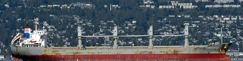 TRUE HARMONY Bulk Carrier IMO 9470789 photo 2