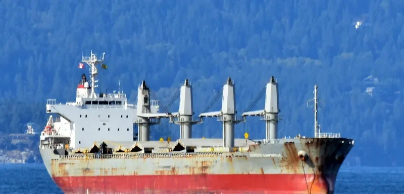 TRUE HARMONY Bulk Carrier IMO 9470789 photo 4
