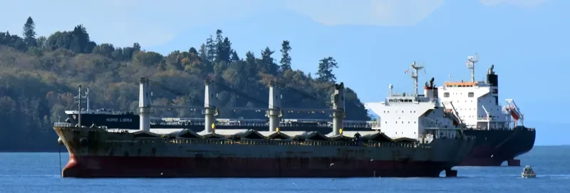 TRUE HARMONY Bulk Carrier IMO 9470789 photo 5