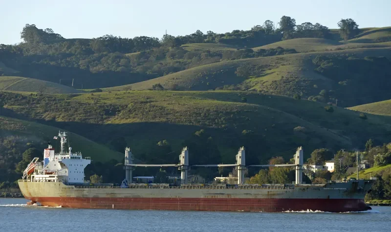 TRUE HARMONY Bulk Carrier IMO 9470789 photo 8