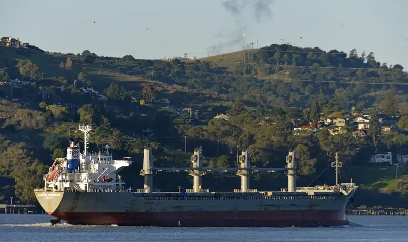 TRUE HARMONY Bulk Carrier IMO 9470789 photo 9