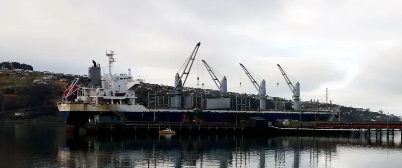 AC SESODA Bulk Carrier IMO 9470791