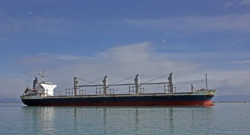 AC SESODA Bulk Carrier IMO 9470791 photo 6