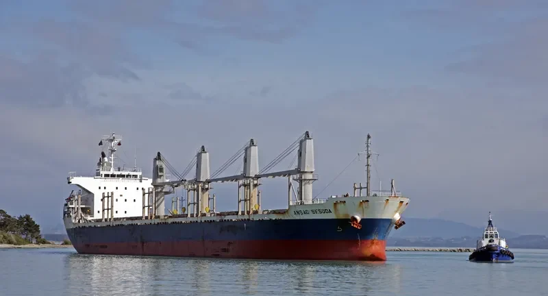 AC SESODA Bulk Carrier IMO 9470791 photo 7