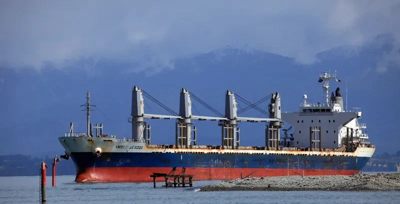 AC SESODA Bulk Carrier IMO 9470791 photo 9